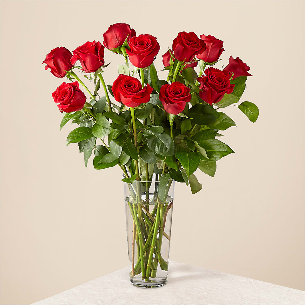 Long Stem Red Rose Bouquet – Danville Floral And Gifts Llc, Danville IL