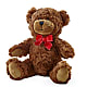Adorable Plush Bear – Danville Floral And Gifts Llc, Danville IL