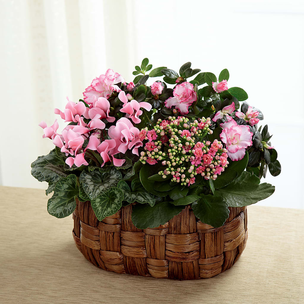 Pink Assortment – Danville Floral And Gifts Llc, Danville IL