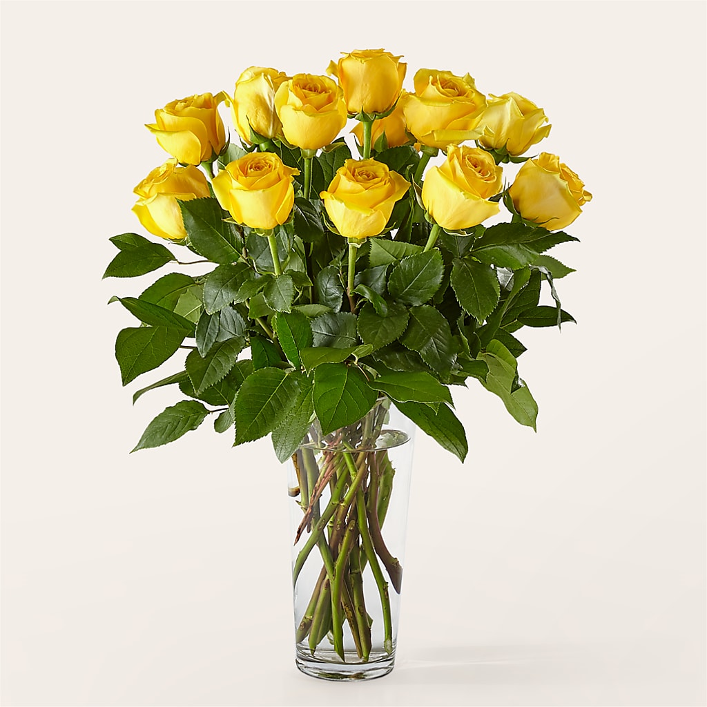 Long Stem Yellow Rose Bouquet – Danville Floral And Gifts Llc, Danville IL