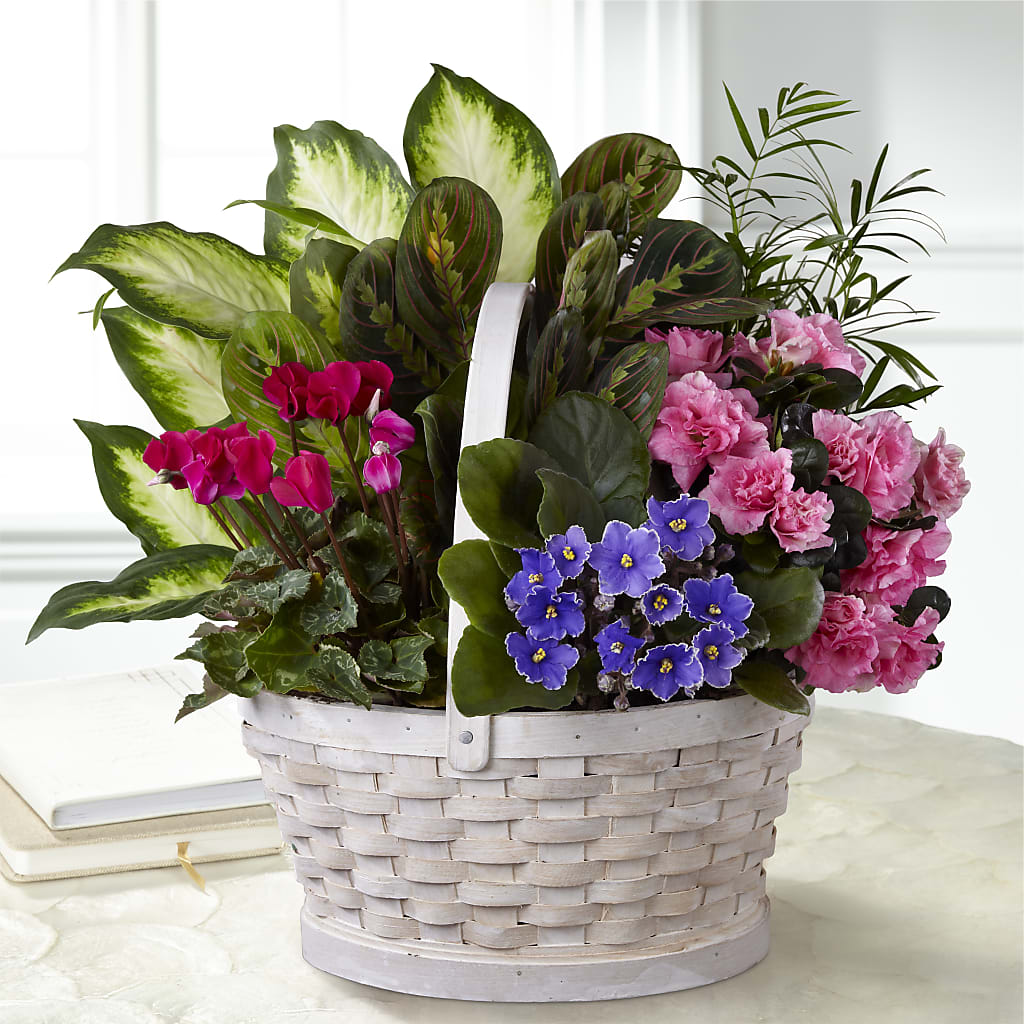 Peaceful Garden Planter – Danville Floral And Gifts Llc, Danville IL