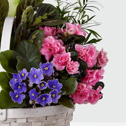 Peaceful Garden Planter – Danville Floral And Gifts Llc, Danville IL