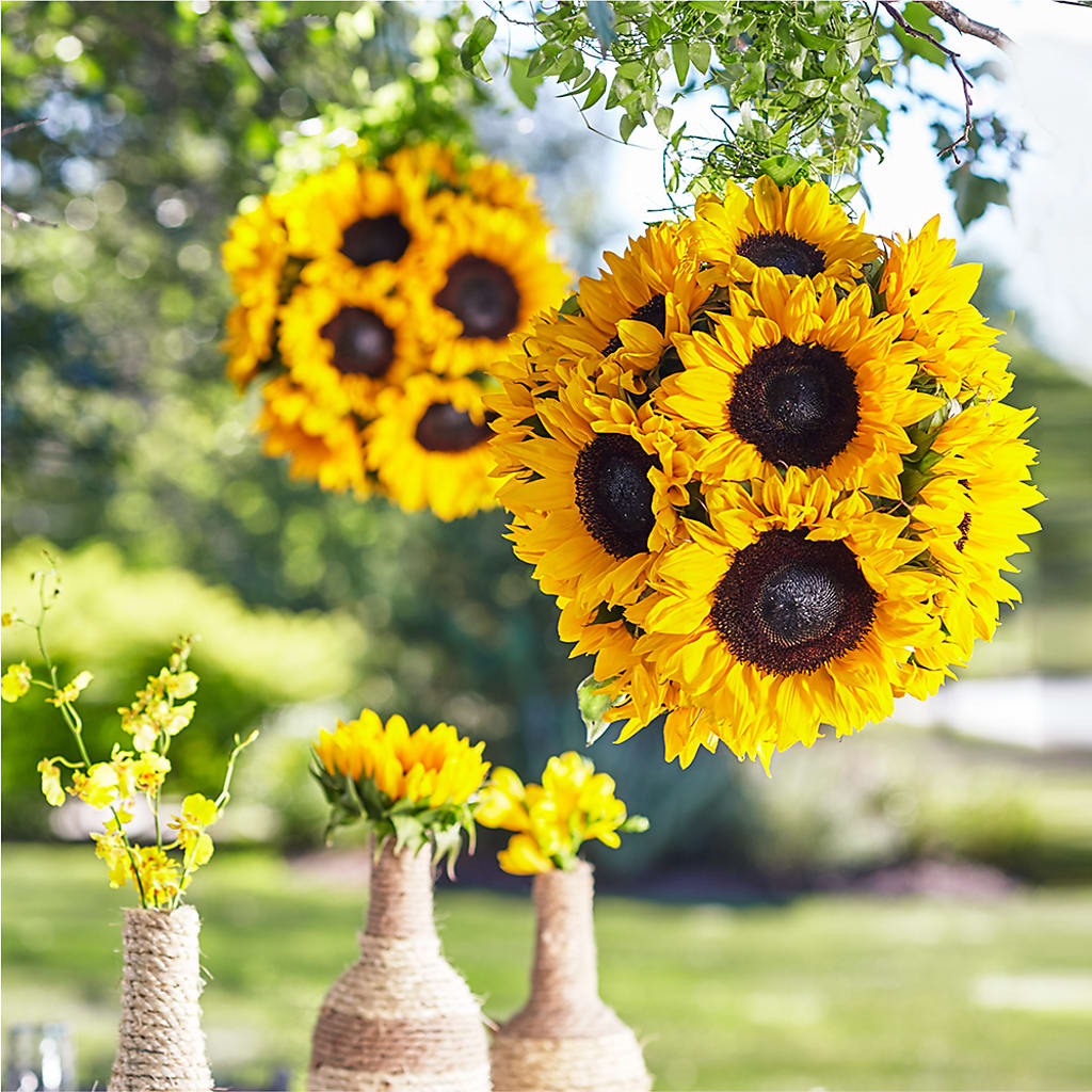 Sublime Garden Hanging Arrangement – Danville Floral And Gifts Llc, Danville IL