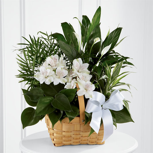 Peace & Serenity Dishgarden –  Danville Floral And Gifts Llc, Danville IL