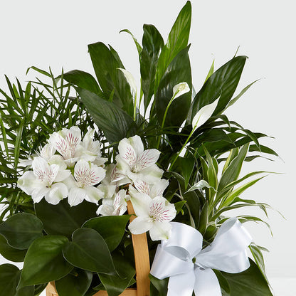Peace & Serenity Dishgarden –  Danville Floral And Gifts Llc, Danville IL
