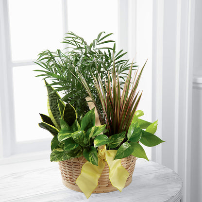 French Garden –  Danville Floral And Gifts Llc, Danville IL