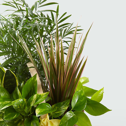 French Garden –  Danville Floral And Gifts Llc, Danville IL