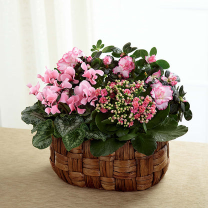 Pink Assortment –  Danville Floral And Gifts Llc, Danville IL
