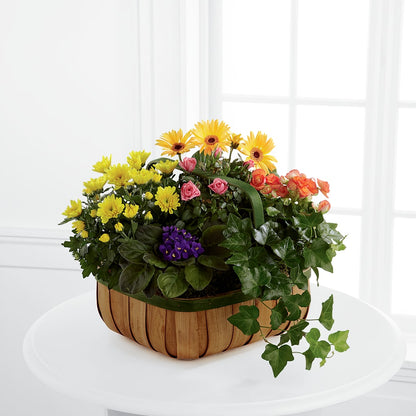 Gentle Blossoms Basket –  Danville Floral And Gifts Llc, Danville IL