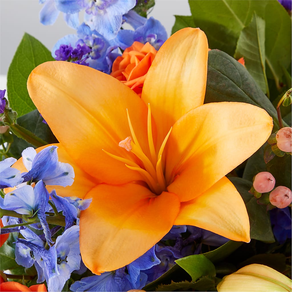 Radiant Citrus Box Bouquet –  Danville Floral And Gifts Llc, Danville IL