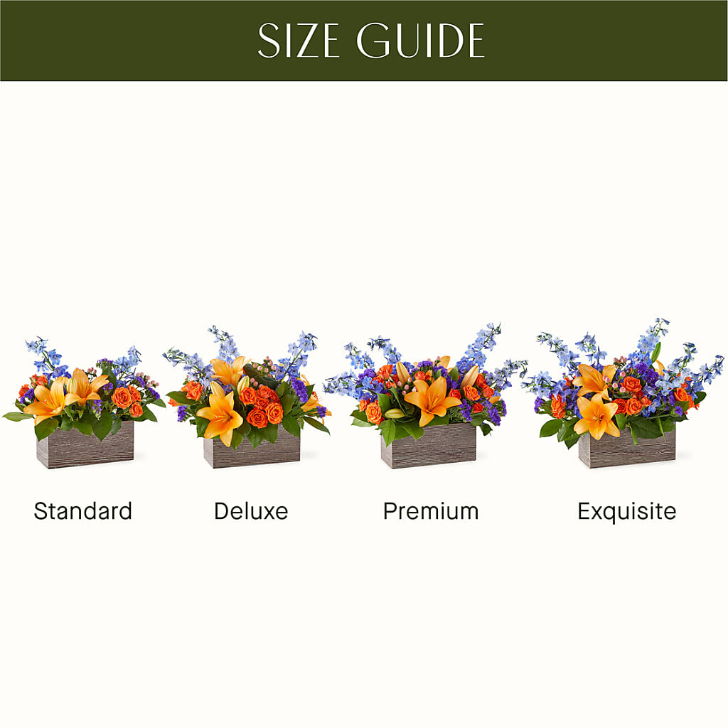 Radiant Citrus Box Bouquet –  Danville Floral And Gifts Llc, Danville IL