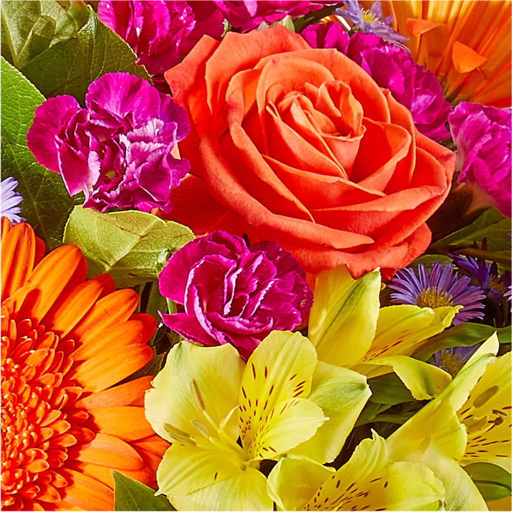Tricks & Treats Pumpkin –  Danville Floral And Gifts Llc, Danville IL