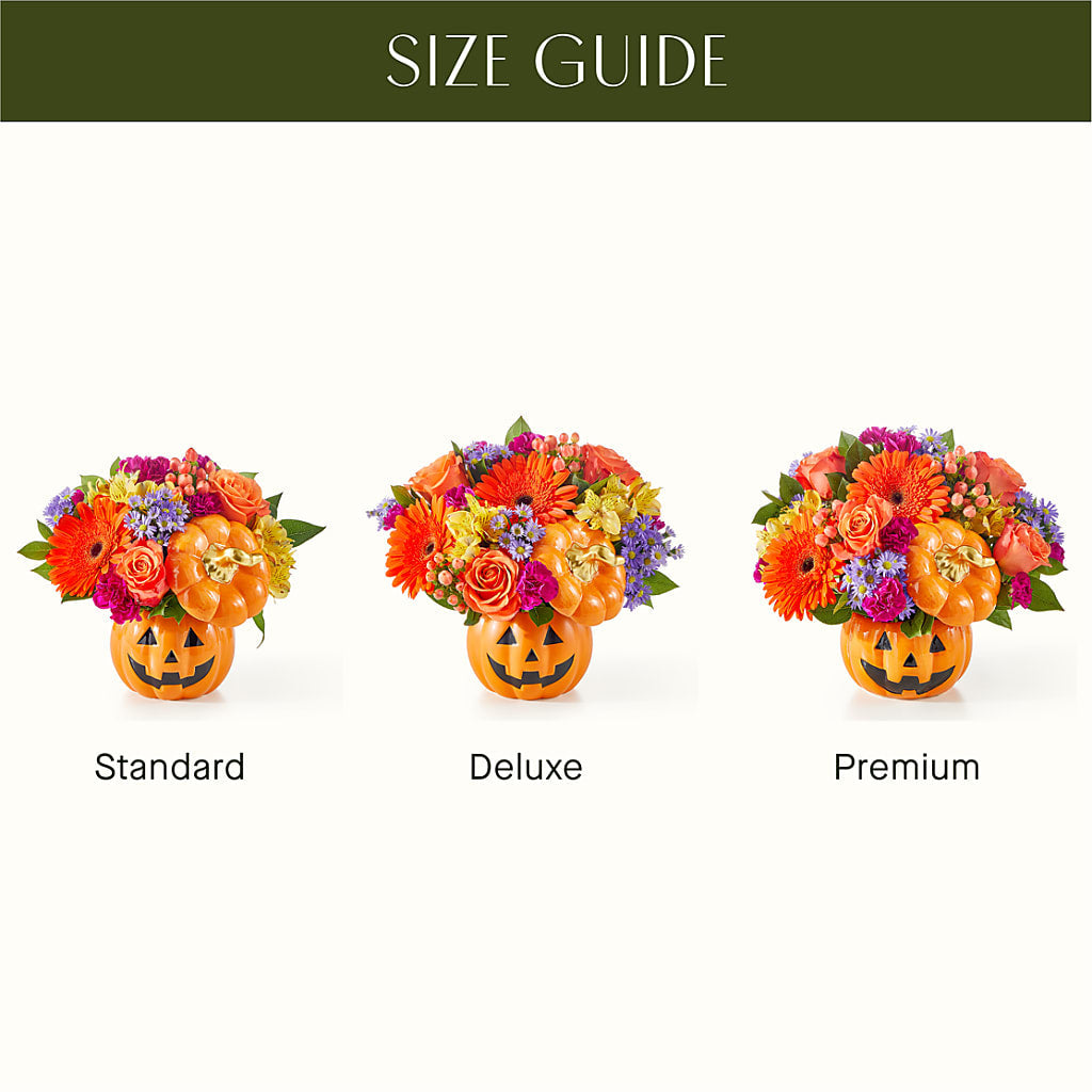 Tricks & Treats Pumpkin –  Danville Floral And Gifts Llc, Danville IL