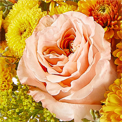 Peachy Pumpkin –  Danville Floral And Gifts Llc, Danville IL