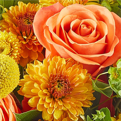 Gourdgeous Pumpkin –  Danville Floral And Gifts Llc, Danville IL