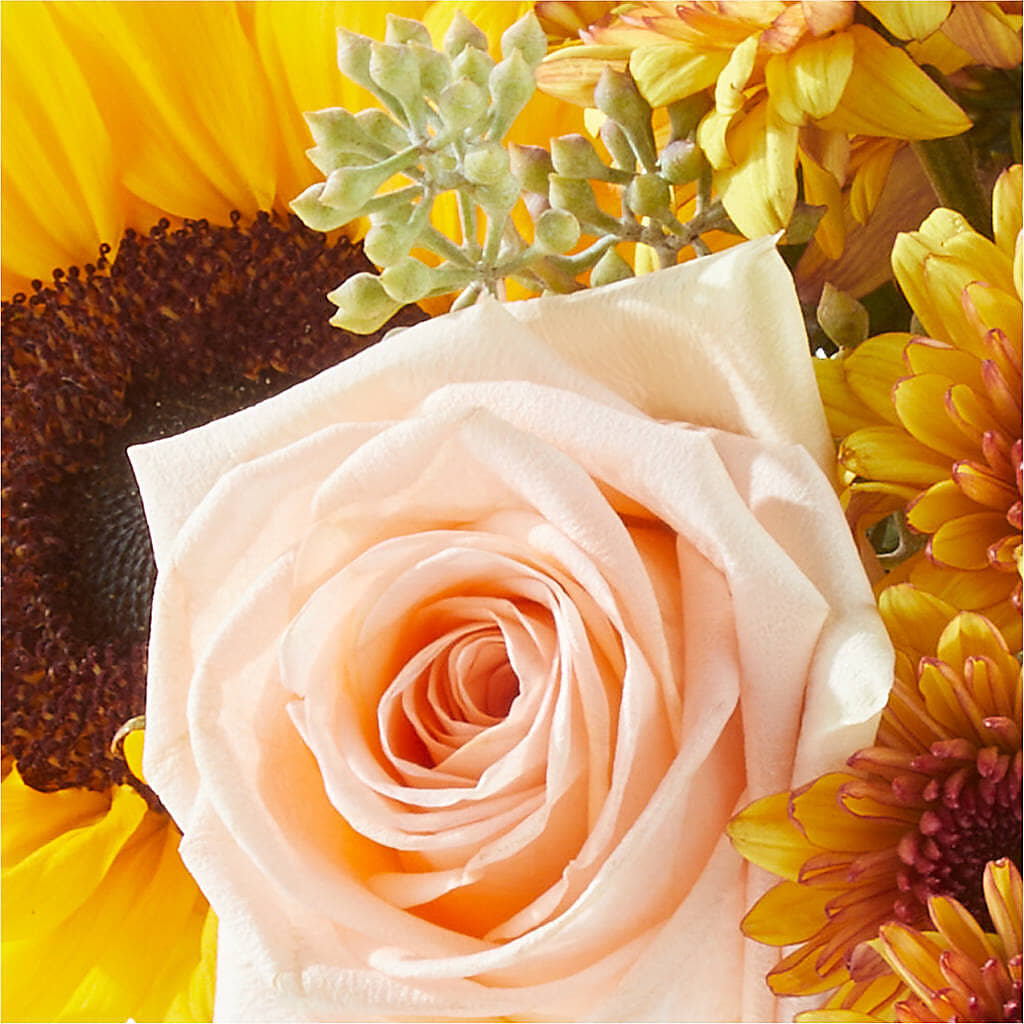 Pumpkin to Talk About Bouquet –  Danville Floral And Gifts Llc, Danville IL