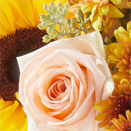 Pumpkin to Talk About Bouquet –  Danville Floral And Gifts Llc, Danville IL