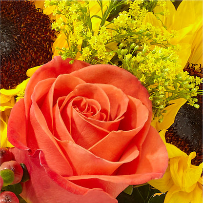 Pick of the Patch Pumpkin Bouquet –  Danville Floral And Gifts Llc, Danville IL