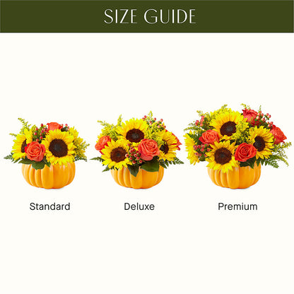 Pick of the Patch Pumpkin Bouquet –  Danville Floral And Gifts Llc, Danville IL