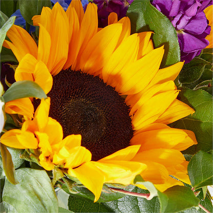 Catching Rays Bouquet –  Danville Floral And Gifts Llc, Danville IL