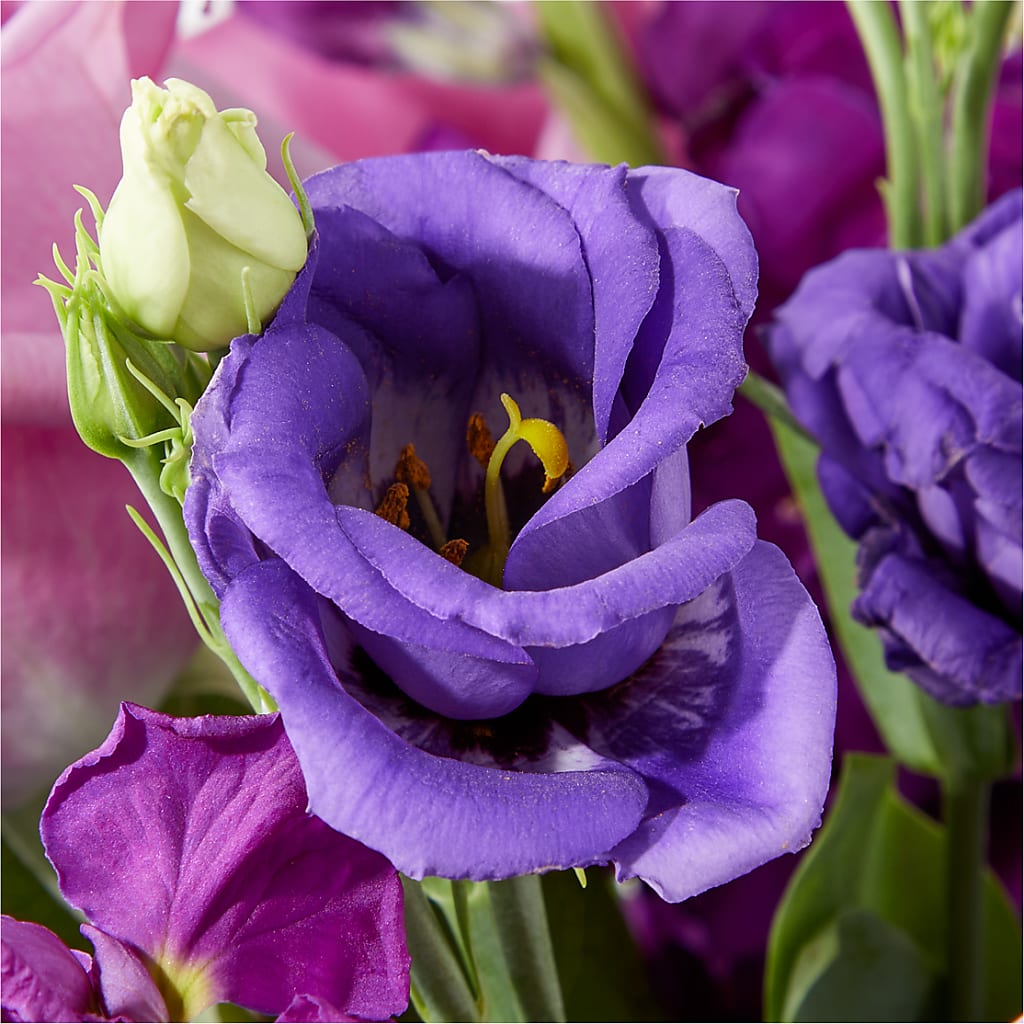 Twilight Glow Bouquet –  Danville Floral And Gifts Llc, Danville IL