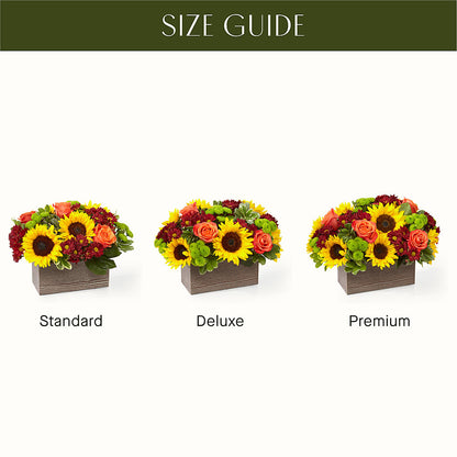 Happy Harvest Garden –  Danville Floral And Gifts Llc, Danville IL