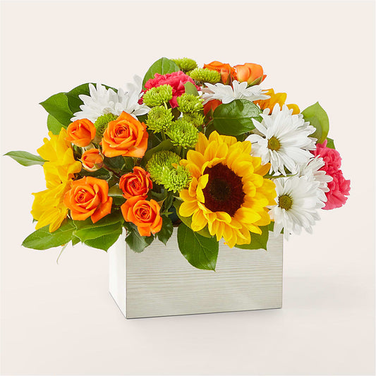 Sun-drenched Blooms Box Bouquet –  Danville Floral And Gifts Llc, Danville IL
