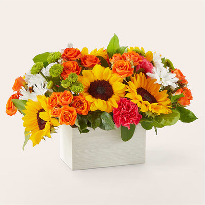 Sun-drenched Blooms Box Bouquet –  Danville Floral And Gifts Llc, Danville IL