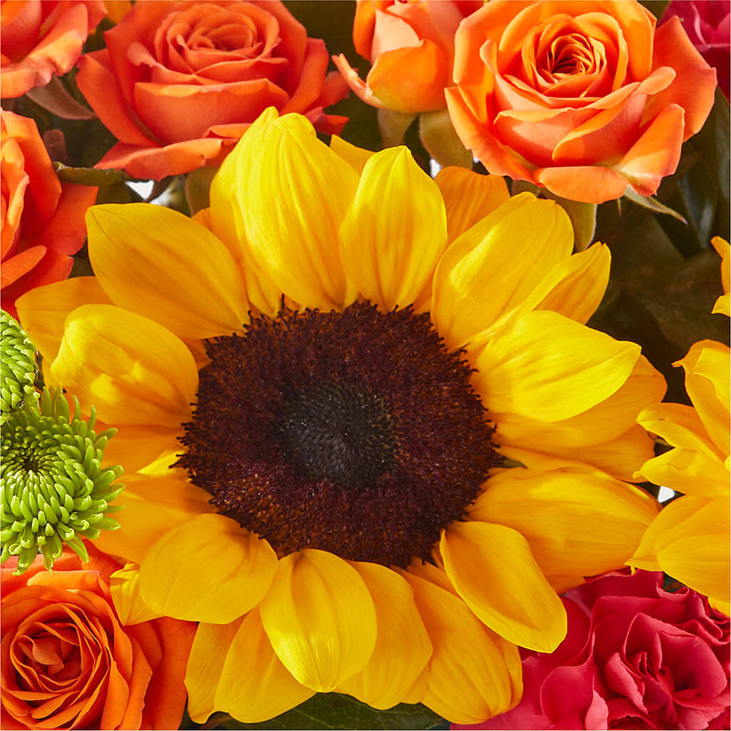 Sun-drenched Blooms Box Bouquet –  Danville Floral And Gifts Llc, Danville IL