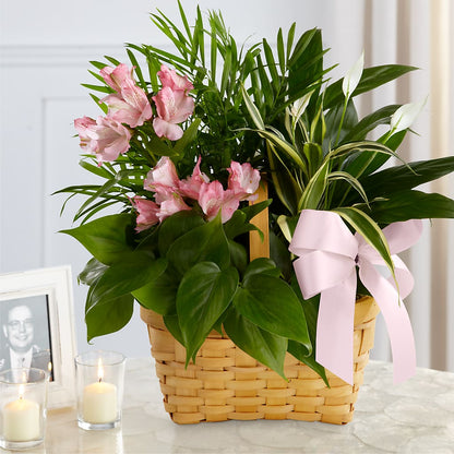 Living Spirit Dishgarden –  Danville Floral And Gifts Llc, Danville IL