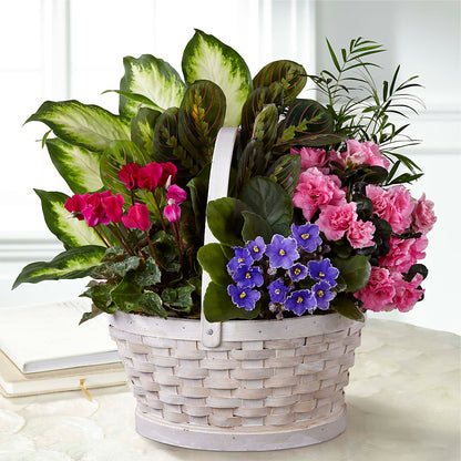 Peaceful Garden Planter –  Danville Floral And Gifts Llc, Danville IL