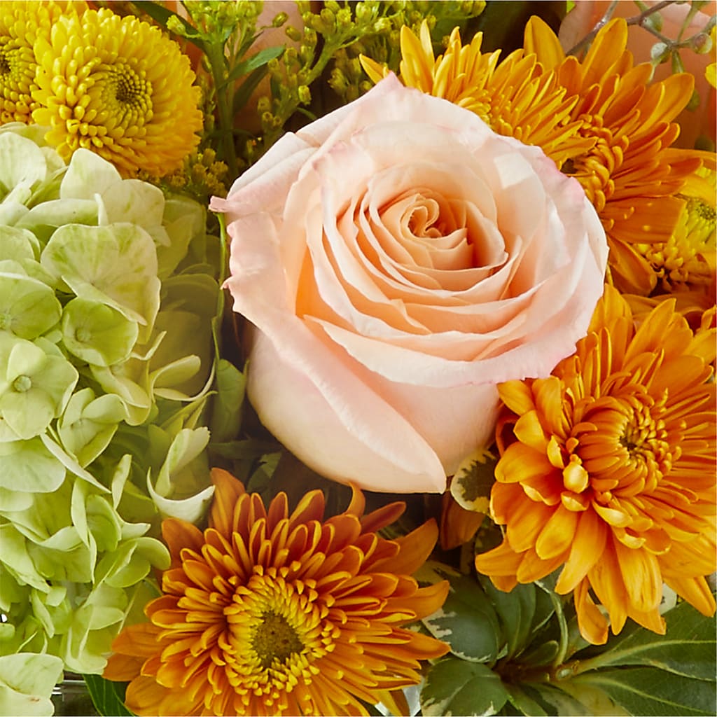 Fall Foliage Bouquet –  Danville Floral And Gifts Llc, Danville IL