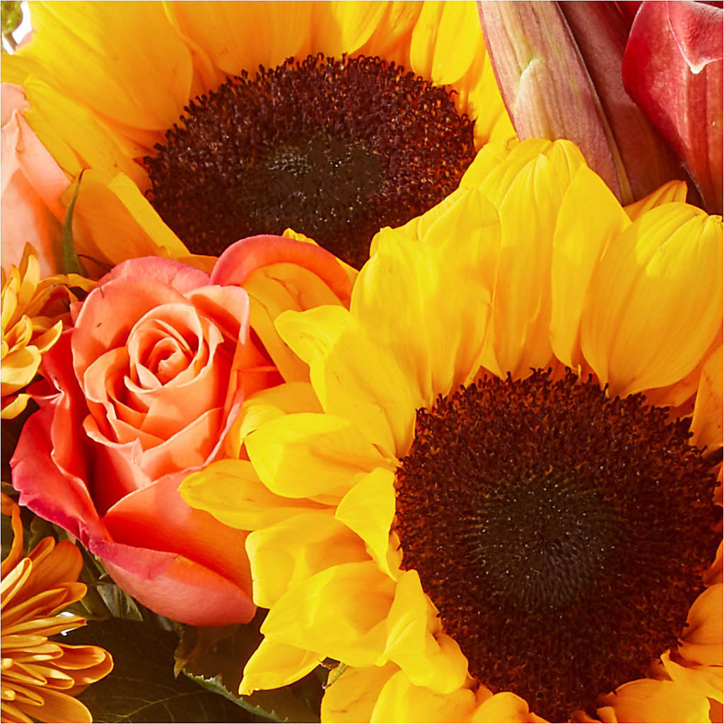 Acorn Lane Bouquet –  Danville Floral And Gifts Llc, Danville IL