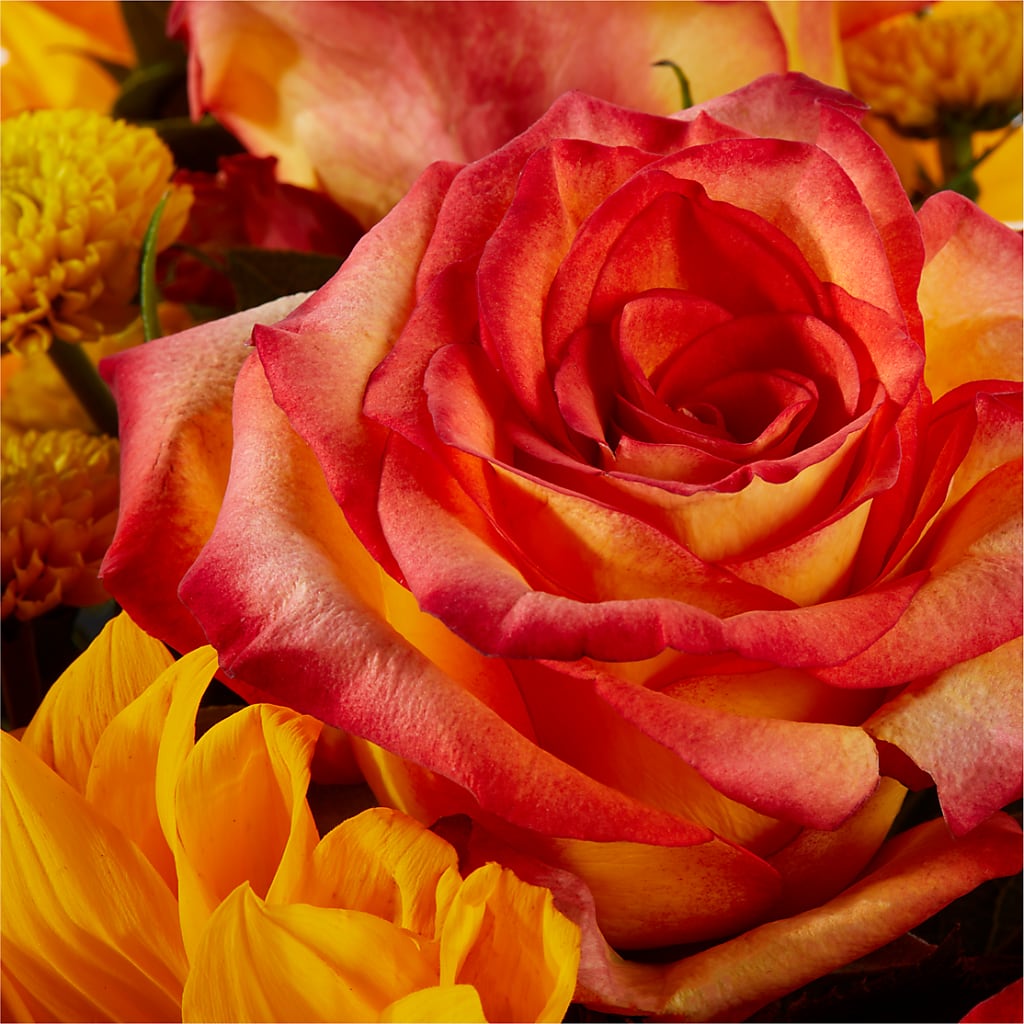 Picnic in the Park Bouquet –  Danville Floral And Gifts Llc, Danville IL
