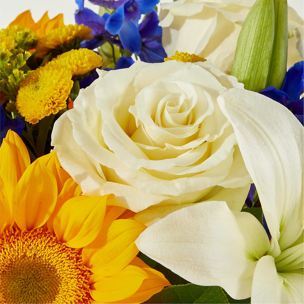 Stargazing Bouquet –  Danville Floral And Gifts Llc, Danville IL