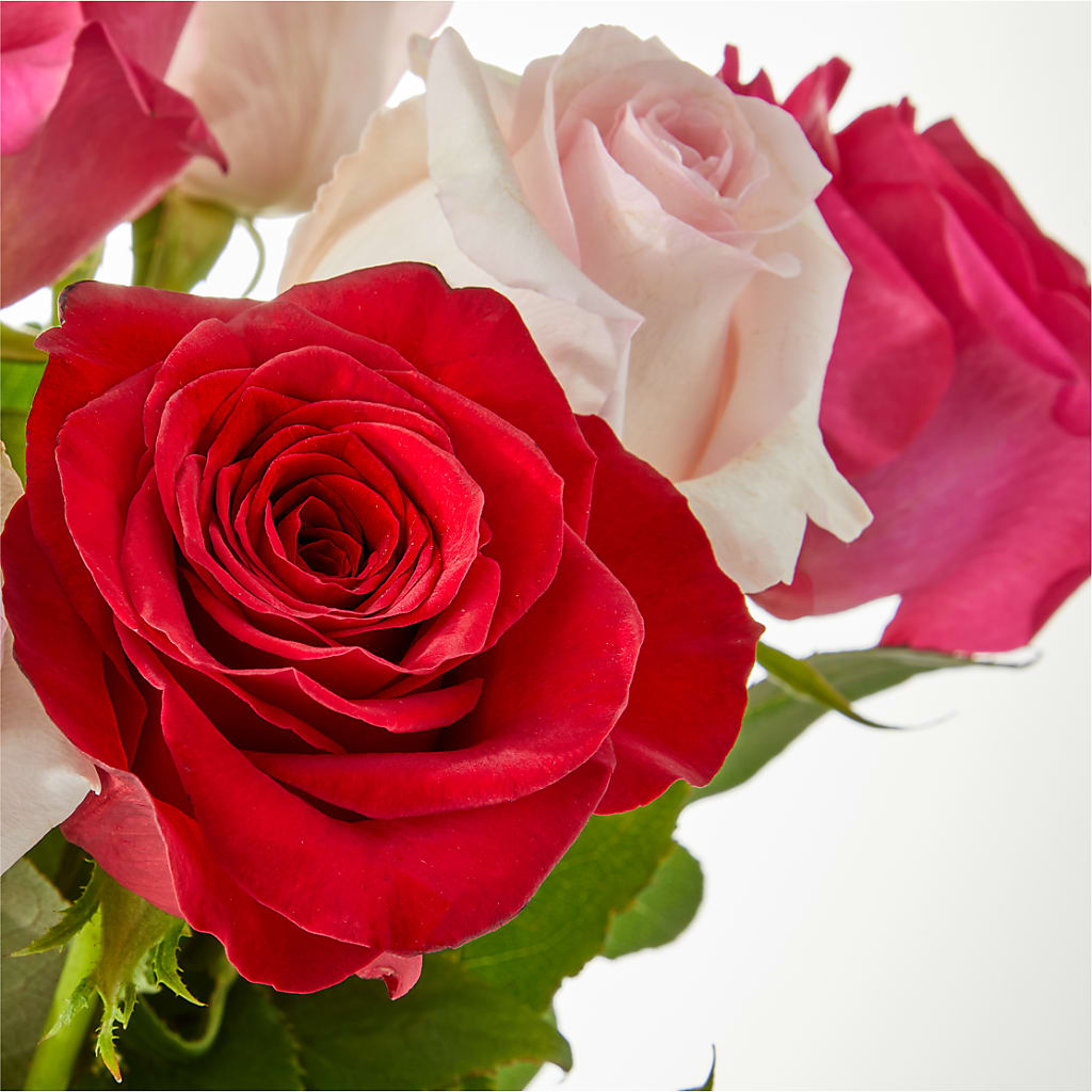 Charming Rose Bouquet –  Danville Floral And Gifts Llc, Danville IL