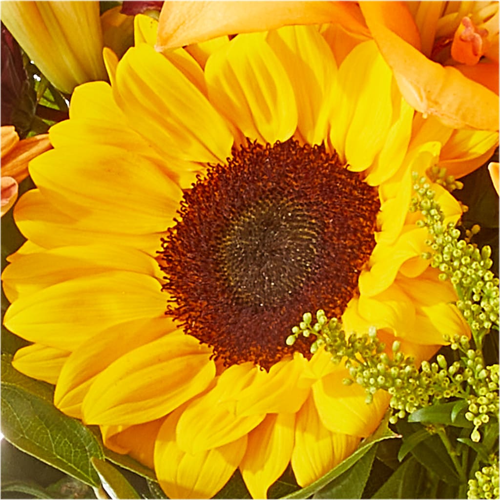 Seasons Change Bouquet –  Danville Floral And Gifts Llc, Danville IL