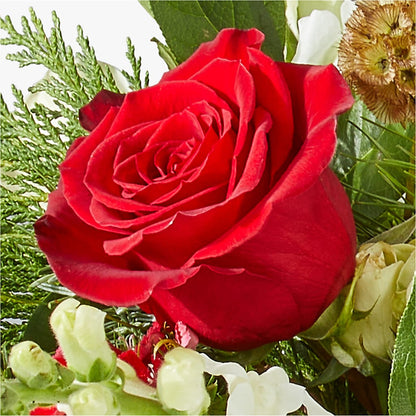 Deck the Halls Bouquet –  Danville Floral And Gifts Llc, Danville IL
