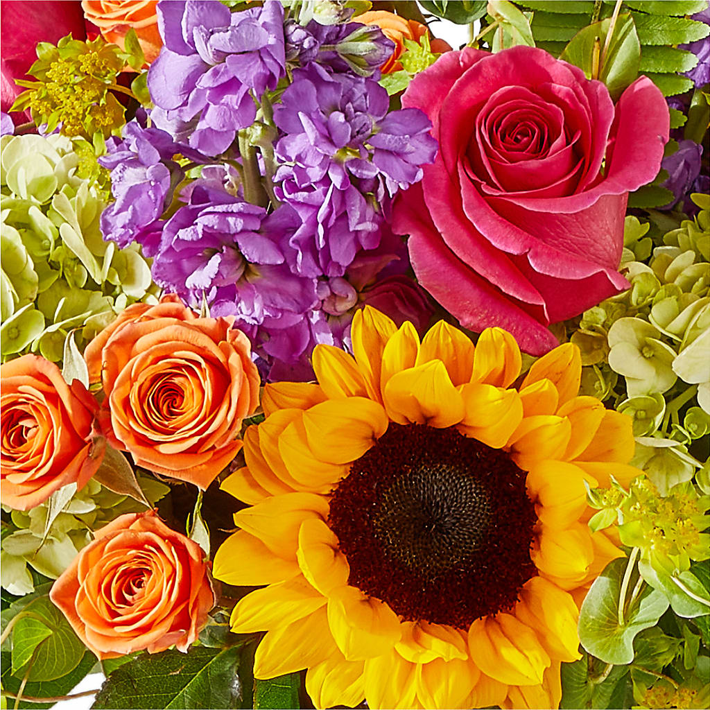Vibrant Greetings Bouquet –  Danville Floral And Gifts Llc, Danville IL
