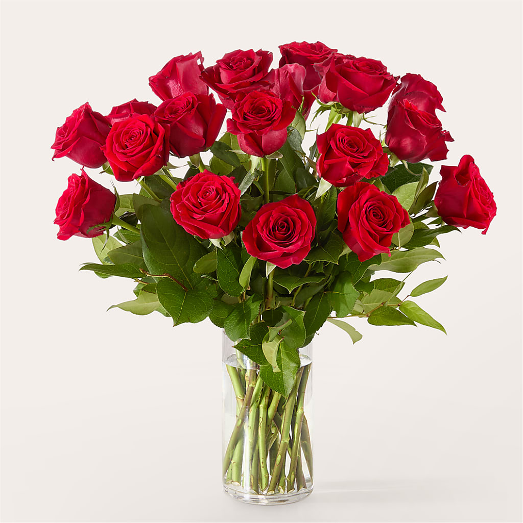 The One Red Rose Bouquet –  Danville Floral And Gifts Llc, Danville IL