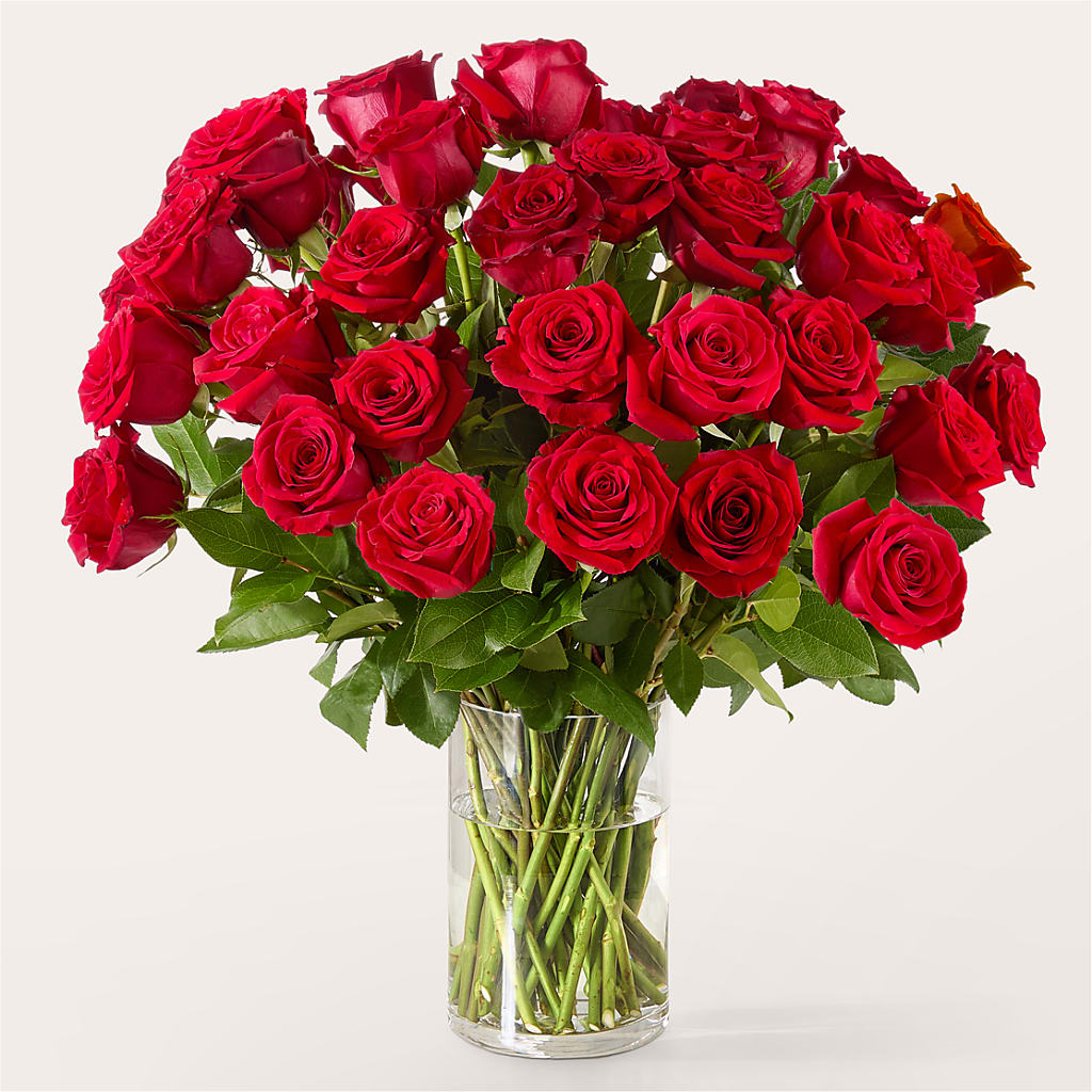 The One Red Rose Bouquet –  Danville Floral And Gifts Llc, Danville IL