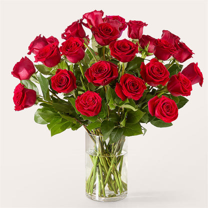 The One Red Rose Bouquet –  Danville Floral And Gifts Llc, Danville IL