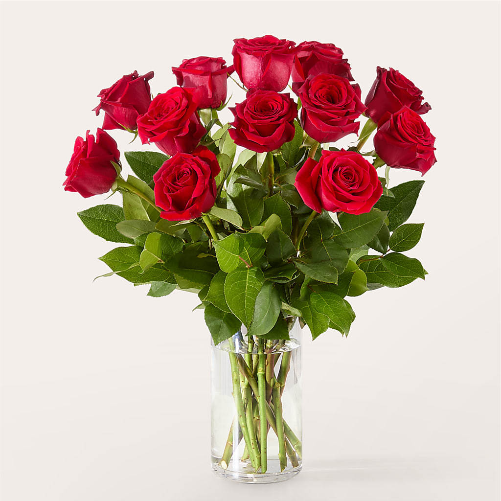 The One Red Rose Bouquet –  Danville Floral And Gifts Llc, Danville IL