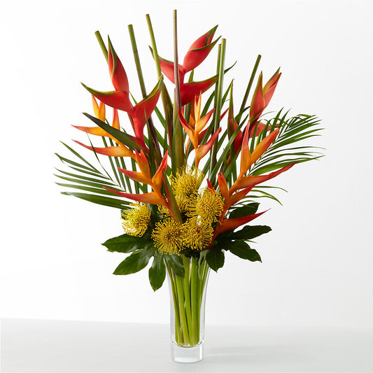 The Drama –  Danville Floral And Gifts Llc, Danville IL