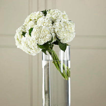 White Hydrangea Hand-Tied Bouquet –  Danville Floral And Gifts Llc, Danville IL