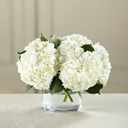 White Hydrangea Bouquet –  Danville Floral And Gifts Llc, Danville IL